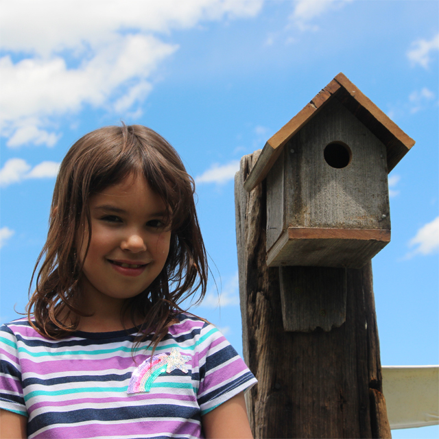 Bird Houses by Home Built Workshop