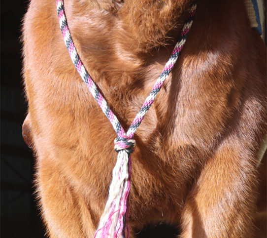 how to make a horse neck rope